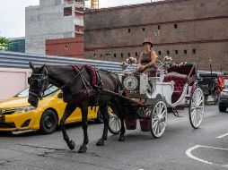 Los operadores dicen que los caballos están bien cuidados y señalan que la industria está regulada por la ciudad. AFP/A. Weiss