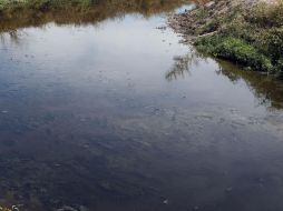 En la actual temporada de lluvias en los municipios de Culiacán, El Fuerte y Sinaloa, siete personas han resultado muertos por ingresar arroyos y ríos. EL INFORMADOR / ARCHIVO