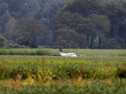 El piloto de la avioneta, identificado como Corey Wayne Patterson, será acusado de hurto mayor y amenazas terroristas. AP/N. Boertman