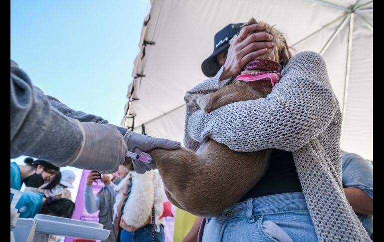 La jornada de vacunación durará 4 meses. ESPECIAL