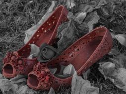 Los hechos sucedieron este sábado en la aldea de Touj, en la provincia de Menufiya. PIXABAY