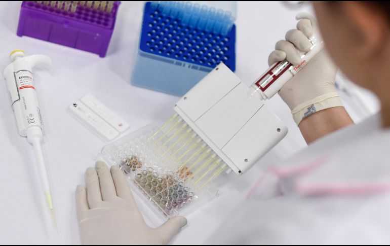 El proceso de sanación es de dos a cuatro semanas y  la viruela del mono nunca es completamente asintomática . EL INFORMADOR/ Archivo