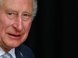 El rey, de 73 años, pasó un largo rato recorriendo las filas de simpatizantes situados detrás de las vallas, protegido de cerca por su equipo de seguridad. EFE / ARCHIVO