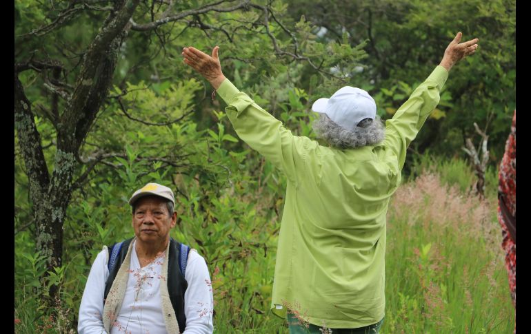 Los recorridos pueden durar hasta dos horas y media, dependiendo de diferentes elementos del espacio para generar una experiencia sensorial y positiva. EL INFORMADOR/A. Navarro