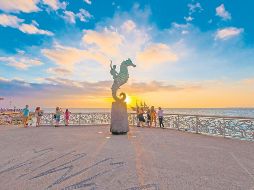 Descubre lo que se está cocinando en Puerto Vallarta. ESPECIAL