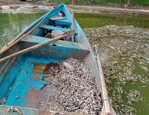 Por muerte de peces en Cajititlán, piden verificar origen de alimentos que se consumen