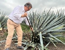 EL INFORMADOR / A. Navarro