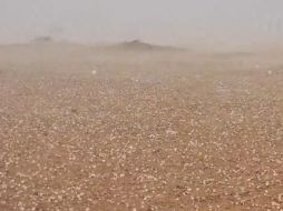 El fenómeno meteorológico tomó por sorpresa a los habitantes de Dubái. Imagen: Captura de Pantalla