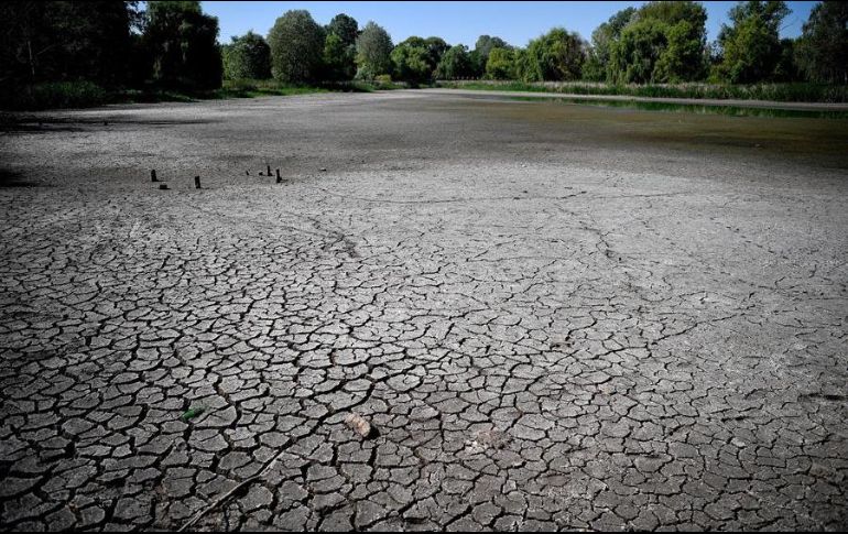 Algunos de los fenómenos ambientales a destacar son las múltiples inundaciones, el aumento del nivel del mar, incendios forestales y sequías. EL INFORMADOR/ Archivo
