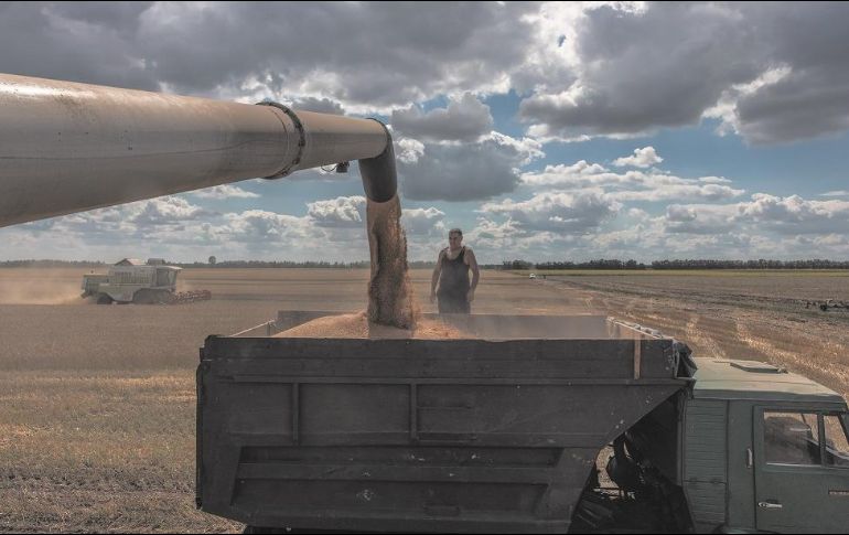 La ciudad de Obukhiv, en la región de Kiev, es una de principales áreas de siembra de granos. EFE