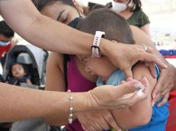 Según la Encuesta Nacional de Salud y Nutrición 2021, tan solo el 27.5% de los niños de un año de edad tuvieron esquema completo. EL INFORMADOR/Archivo