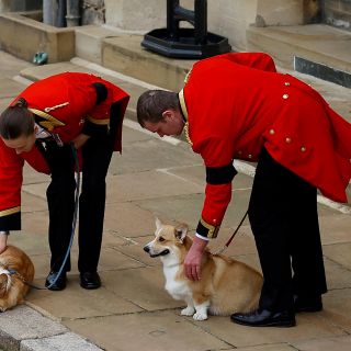 Los corgis de la Reina Isabel II están presentes en el funeral (FOTOS)