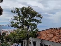 Aunque la Oficina Nacional de Administración Oceánica y Atmosférica (NOAA) de Estados Unidos emitió una alerta de tsunami para las costas de México en el Pacífico, Protección Civil de Jalisco ha desmentido que exista  riesgo de Tsunami. Imagen: Captura de pantalla