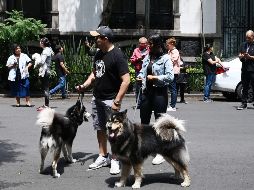 Un joven con sus mascotas espera en la vía pública a que autoridades autorizen de nuevo a entrar a edificios y casas. AFP/R. Arangua