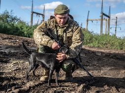 Un soldado ucraniano acaricia a un perro en el área recientemente recuperada de Izium. AP/O. Ratushniak
