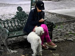 Una mujer permanece sentada junto a su perro luego de que saliera de su hogar en Tlatelolco, en la Ciudad de México. AFP / A. Estrella
