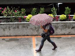 La tormenta tropical 