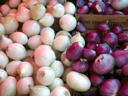 En México, la cebolla se produce principalmente en Chihuahua, Zacatecas, Guanajuato, Tamaulipas, Michoacán, Puebla y San Luis Potosí. EL INFORMADOR/ARCHIVO