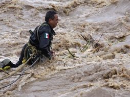 El cuerpo de Julián 