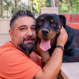 ¡Amor real! Tinder empareja a solteros con cientos de perritos sin hogar