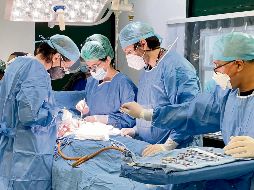 Ayer se conmemoró el Día Nacional de Donación y Trasplante de Órganos y Tejidos. ESPECIAL