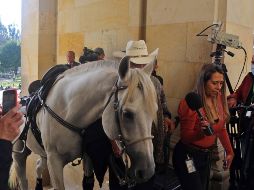La bancada animalista manifestó su rechazo a la acción burlona del senador. EFE/L. Vargas-Prensa Senado Colombia