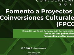 En cuanto a la presentación de los proyectos, deberá hacerse en una de las siguientes formas de operación: Producción, Promoción, Formación e Investigación. CORTESÍA