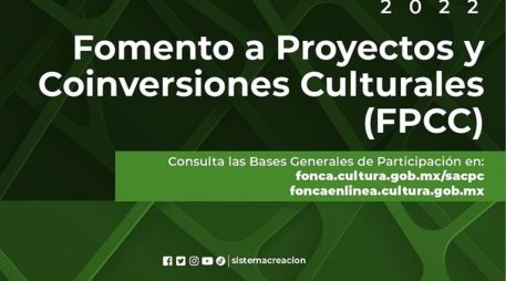 En cuanto a la presentación de los proyectos, deberá hacerse en una de las siguientes formas de operación: Producción, Promoción, Formación e Investigación. CORTESÍA