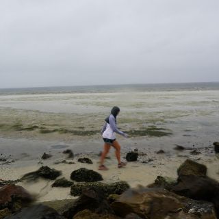 El agua de la bahía de Tampa descendió 1.5 metros, confirman expertos