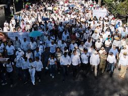 Exigen reactivar sistema de búsqueda