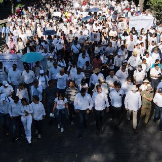 Exigen reactivar sistema de búsqueda