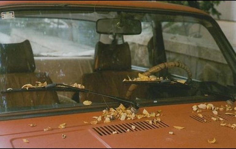 Octubre se asocia ya con el otoño. AP/ARCHIVO