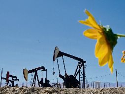 Debido a la baja demanda se espera una reducción gradual de la producción de Petróleo Brent. AFP