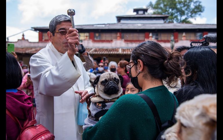 Las mascotas y sus dueños desde muy temprano se concentraron en el atrio del templo de San Francisco, donde les rociaron agua bendita. EFE/C. López