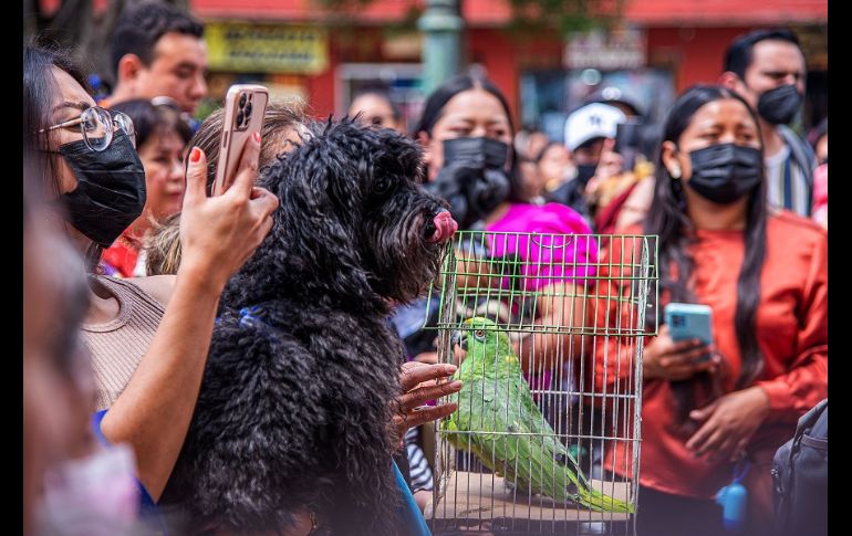 Las mascotas y sus dueños desde muy temprano se concentraron en el atrio del templo de San Francisco, donde les rociaron agua bendita. EFE/C. López
