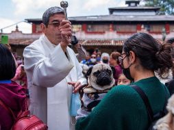 Las mascotas y sus dueños desde muy temprano se concentraron en el atrio del templo de San Francisco, donde les rociaron agua bendita. EFE/C. López