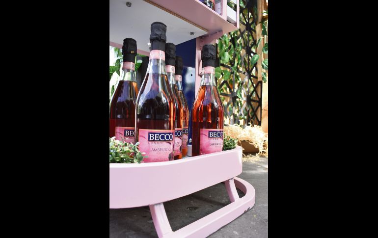 Aspecto. GENTE BIEN JALISCO/Antonio Martínez