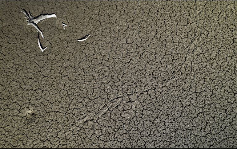 Las consecuencias de esa sequía impactaron en el sector agrícola de decenas de países. EFE/J. Diges