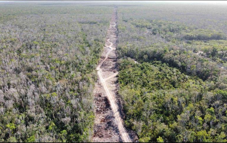 El tramo 7 del Tren Maya tiene una extensión de 287 kilómetros y será construido por la Sedena. SUN/ARCHIVO