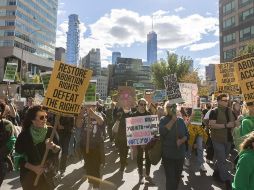 Según los organizadores, la marcha atrajo más de tres mil personas en Washington y centenares más en otras ciudades del país. AFP/J. Moon