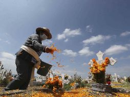 La Sedeco invitó a los ciudadanos a realizar la compra de sus flores de cempasúchil en los Mercados Públicos. SUN / ARCHIVO