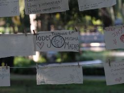 El Parque Agua Azul fungió como escenario de esta experiencia inmersiva. ESPECIAL/Secretaría de Cultura