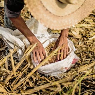 La pobreza en México no ha disminuido en 20 años