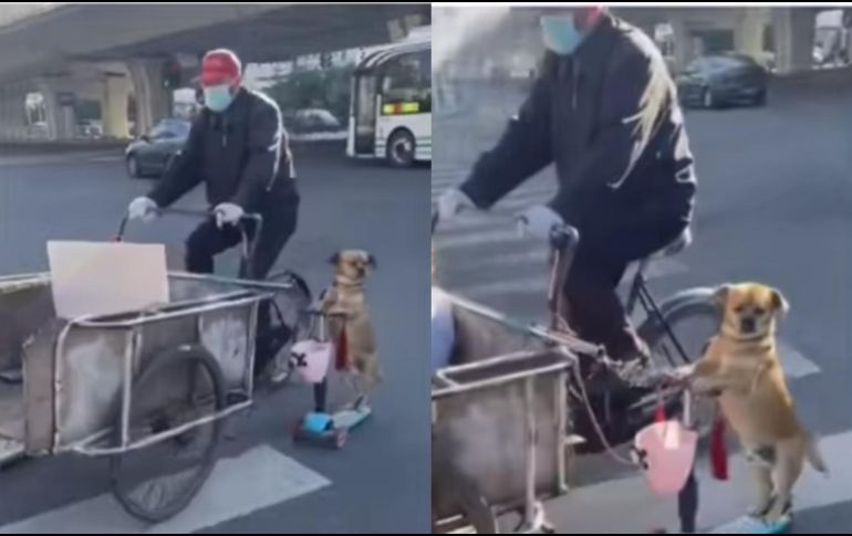 A pesar de que el video es corto, la gente ha expresado su entusiasmo por el tierno momento. ESPECIAL