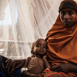 Ratas, huesos y barro: los alimentos del hambre que la gente desesperada come para sobrevivir