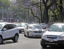 La aplicación de la nueva Ley de Movilidad, Seguridad Vial y Transporte Público implicará la modificación a reglamentos de los 125 municipios. EL INFORMADOR / ARCHIVO