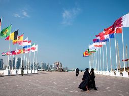 Si bien todas las canchas poseen sistemas de enfriamiento eficientes, adaptados para las altas temperaturas, el desafío está en el afuera de estos establecimientos. EFE / N. Thekkayil