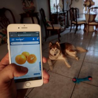 Denuncian restricción de acceso a internet en Irán