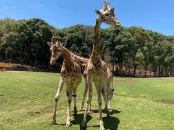 La niña fue llevada a una clínica médica cercana, 