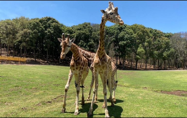 La niña fue llevada a una clínica médica cercana, 